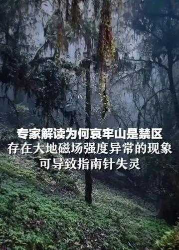 一例确诊惊现大别山腹地，英山疫情何以突破生态屏障？