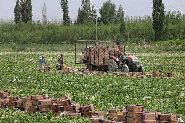 【新疆三连发：伊吾疫情为何关联哈密吐鲁番】