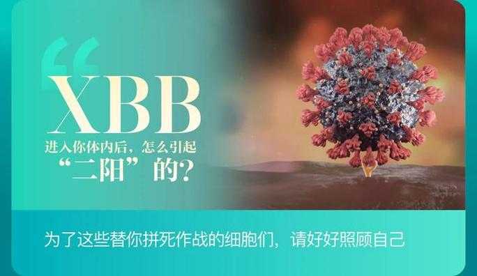 2022年1月陕西新冠二阳三阳重症病例分析：疫情挑战与防控策略
