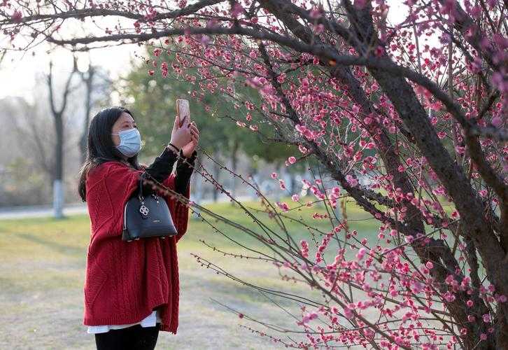 赣南山地屏障下的防控样本：寻乌县如何连续35日零确诊？