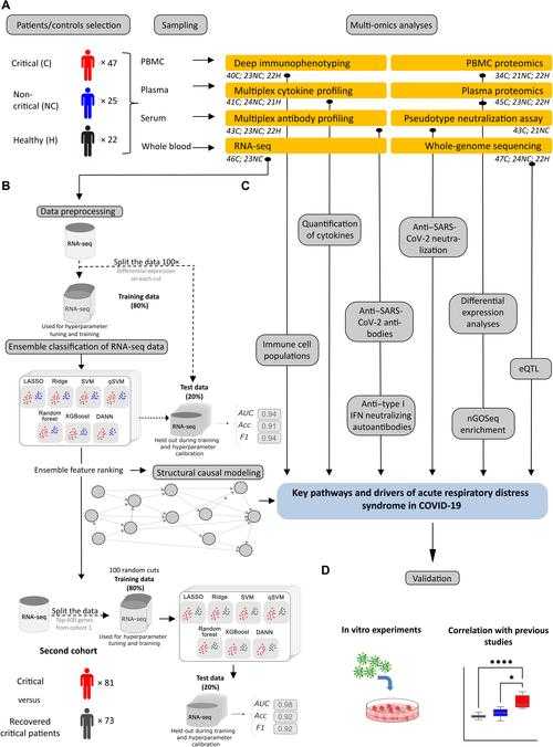 青海进化分支关联吞咽困难问题的新冠疫情期间应对策略