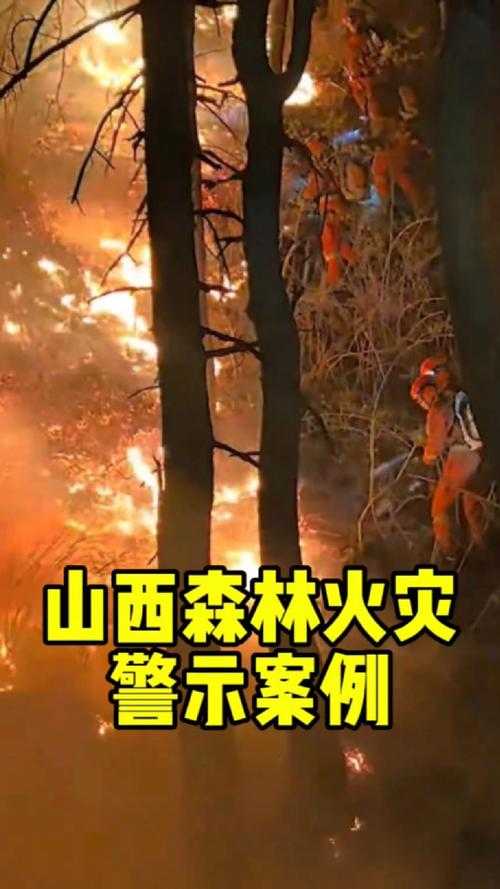 31省份多点散发，山西陵川6例为何成防控焦点？
