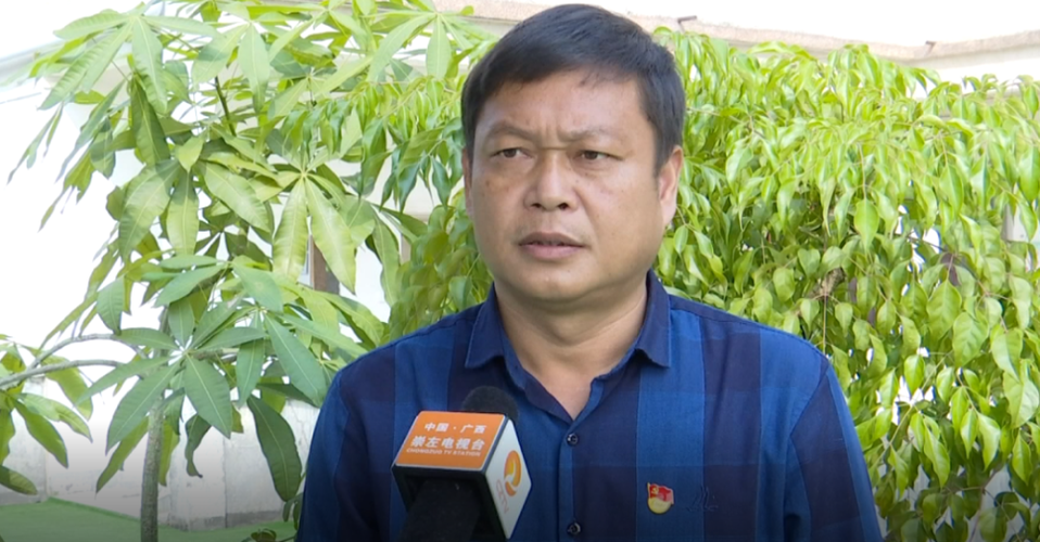 31省份多点散发，广西宁明为何成为防控焦点？