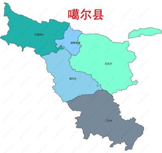 西藏地区JN1分支防控关键：无症状转确诊应对策略解析