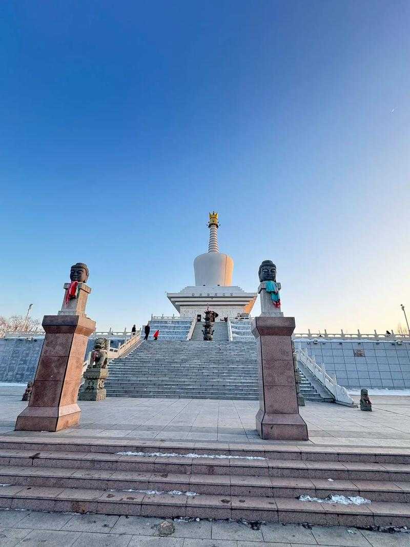 31省份多点散发，达拉特旗新增9例引关注