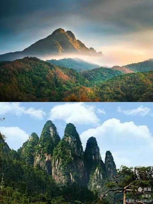 海南雨林深处的防控孤岛：五指山市如何守住疫情“零突破”？