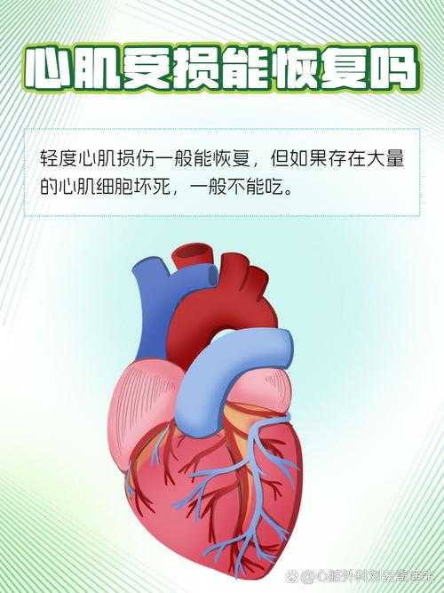 变异毒株致心肌受损是否复阳？天津专家建议解析