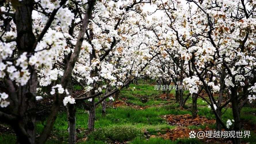 四川罗江：川西丘陵筑起防疫屏障