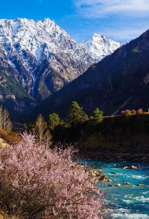 雪域屏障下的防控样本：林芝市累计零确诊背后