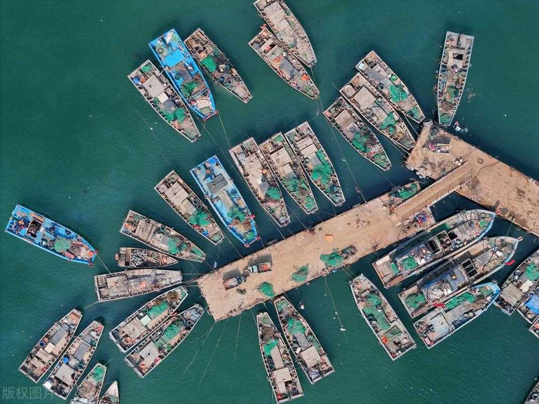 日照港湾：沿海枢纽下的防控隐忧