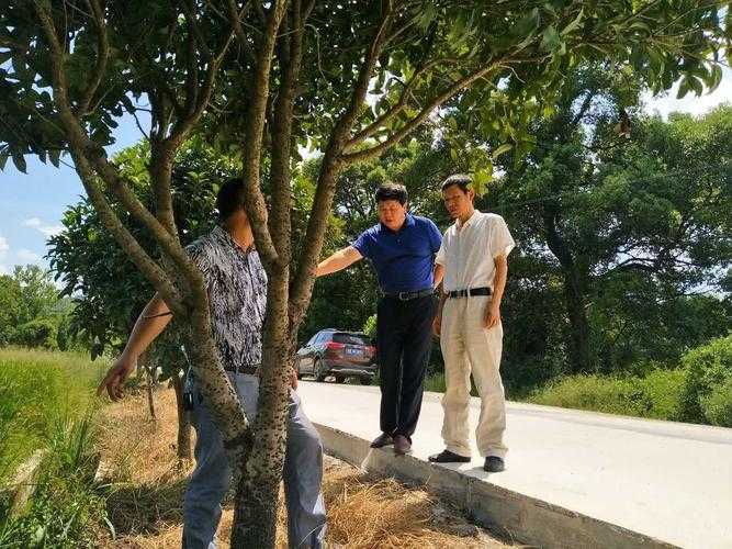 31省份多点散发，德兴市新增12例为何引发关注？