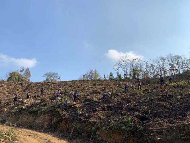 【31省份多点散发，柳江区29例为何成防控焦点？】