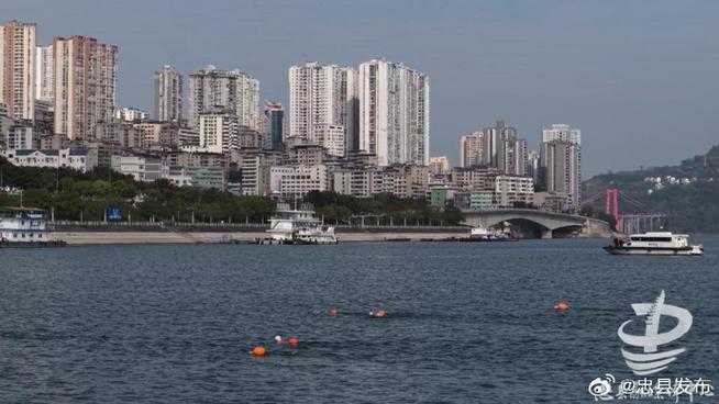 长江支流上的孤岛防疫：忠县如何成为川渝疫线最后堡垒？