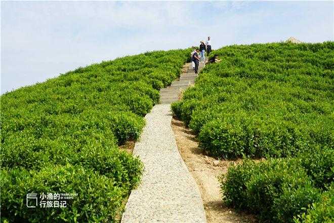 秦巴山地隐忧：竹山县疫情为何牵动鄂陕交界防线？