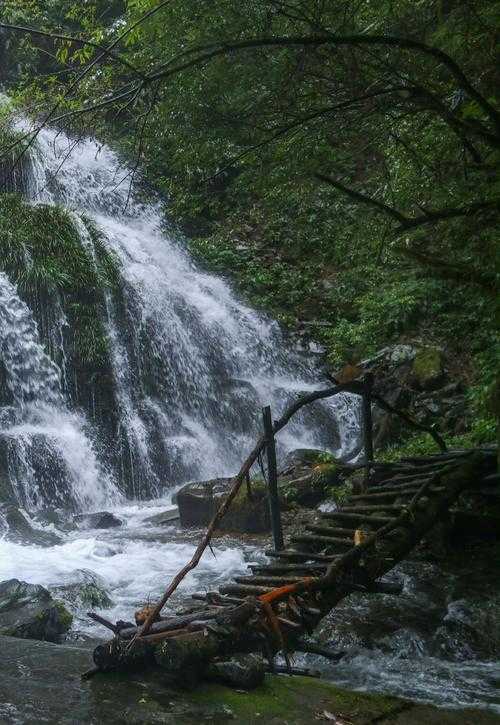 恩施低感染率下的防控韧性，咸丰县如何守卫鄂西生态屏障？