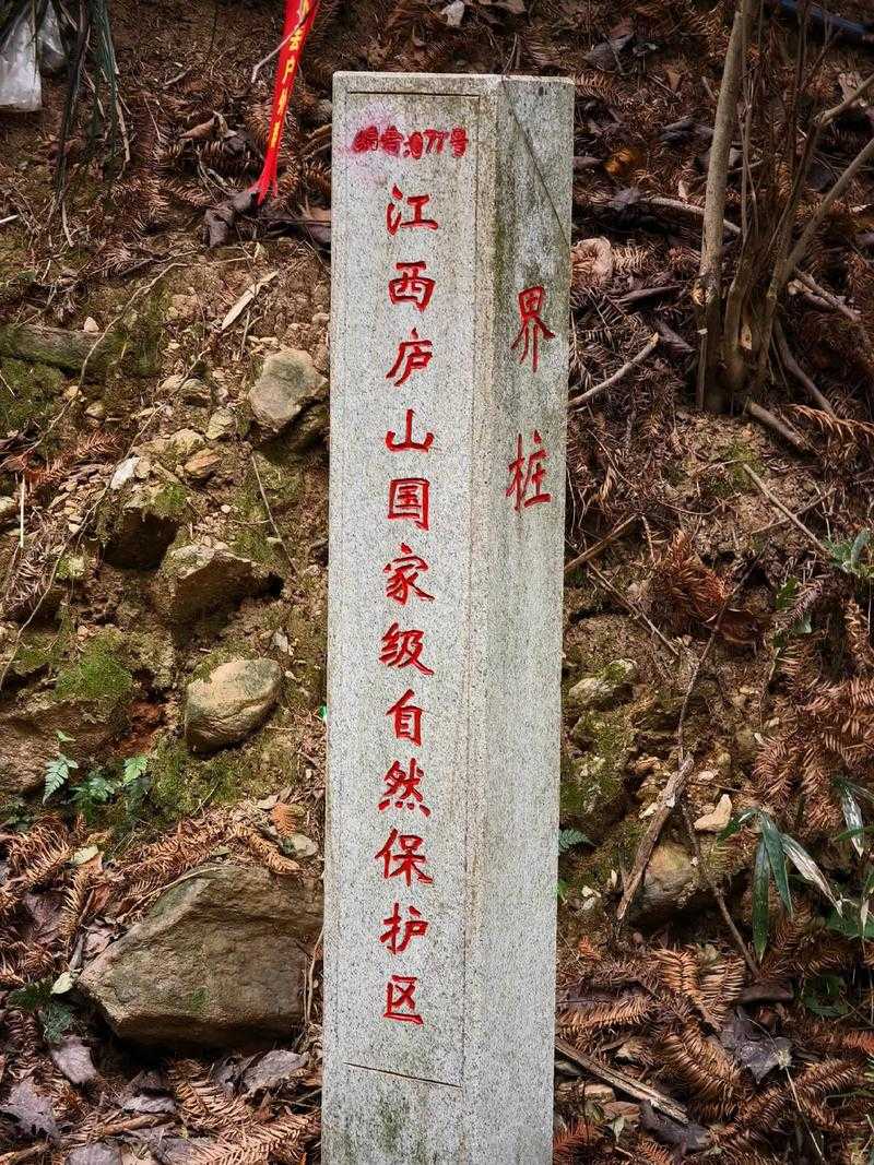 【八百里罗霄山阻隔疫情，桂东县2022年零确诊的地理密码】