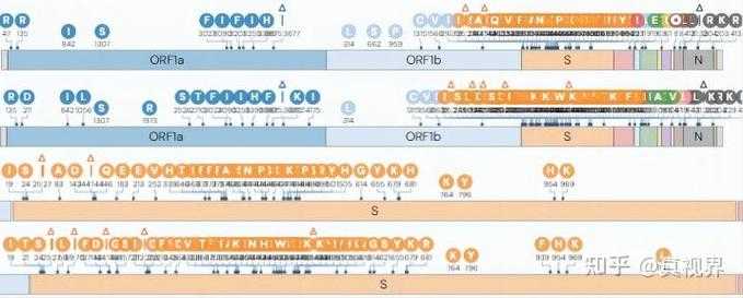【JN1变异株感染者特征解析：2020-2022年疫情数据与防控启示】