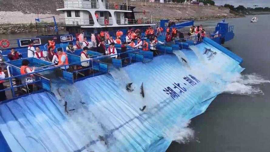 长江水乡的防控难题：安陆新增17例为何刺破湖北防线？