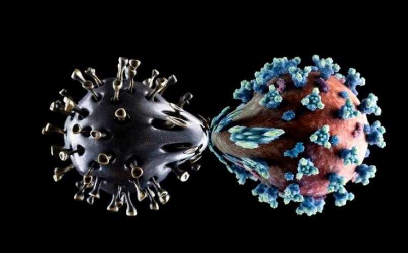 广东奥密克戎JN1防控手册：2020-2022疫情三年关键措施