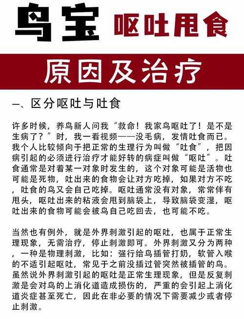新冠疫情中江西二阳三阳患者恶心呕吐应对指南