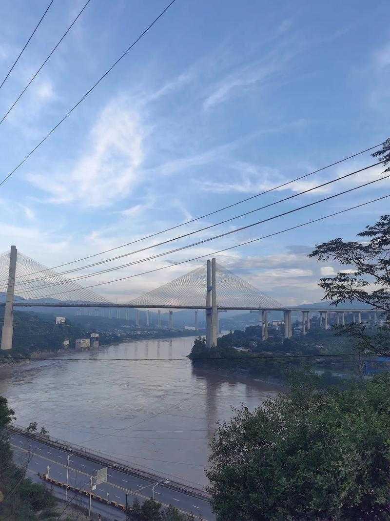 31省份多点散发，贵州金沙3例折射西南防控难点