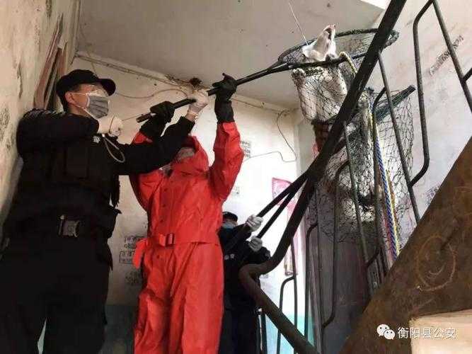 衡阳县疫情突袭湖南，31省份防控链再绷紧