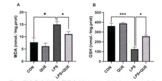 新冠变异株与长新冠后遗症：复阳现象的鉴别与应对策略