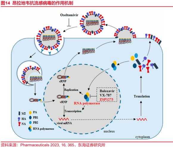 新冠疫情下XBB系变异株分级诊疗体系的实践与挑战