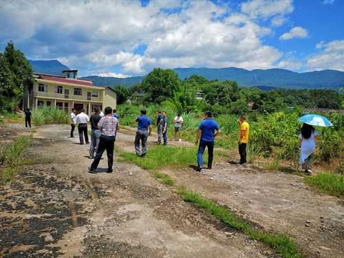 31省份多点散发，慈利县5例为何成防控焦点？