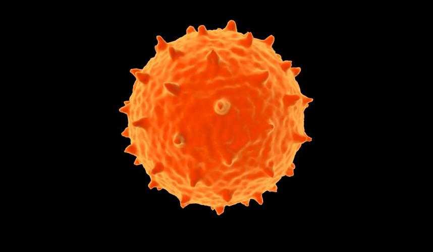 奥密克戎JN1味觉丧失与复阳关联：北京专家解析