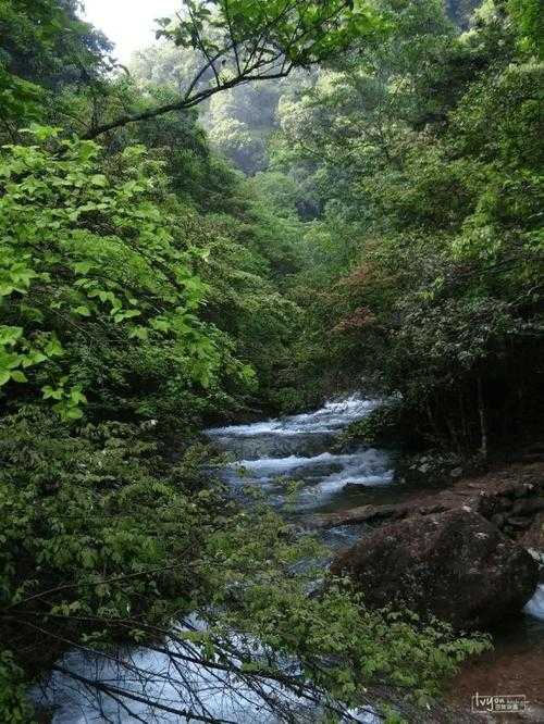 群山阻隔下的防疫样本：浙江遂昌为何成疫情孤岛？