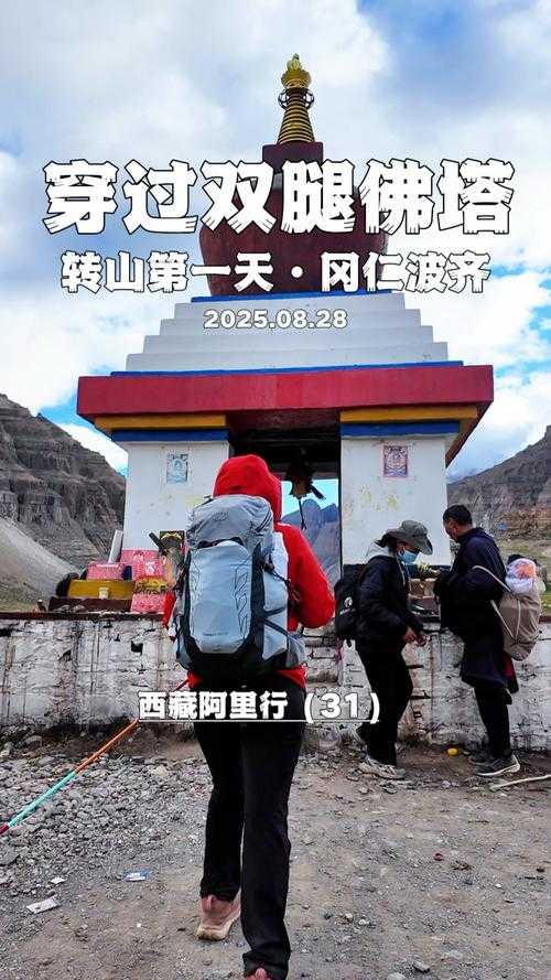 2020-2022新冠疫情期间西藏返程高峰防控挑战与应对