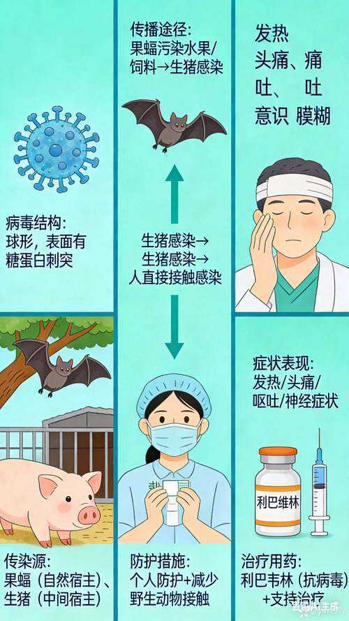 新疆冬春交替期变异毒株防控重点解析：疫情防御与重症病例管理