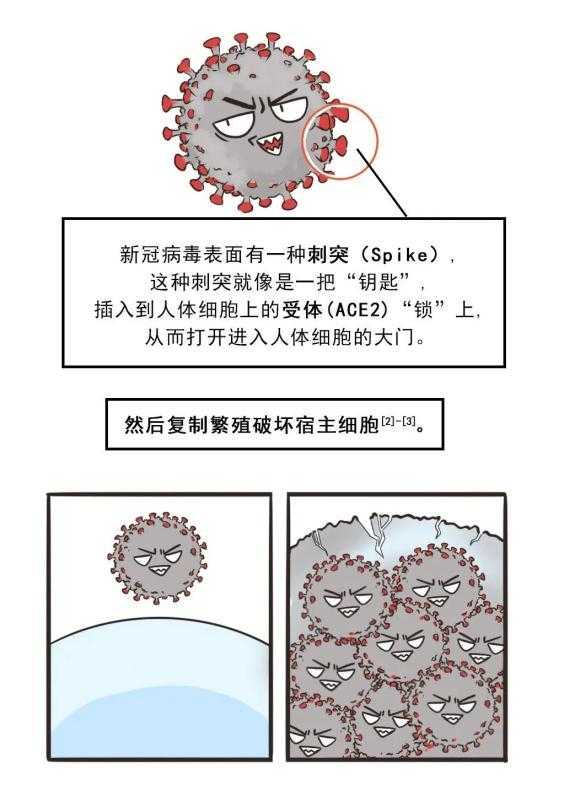 上海秋冬季新冠变异株高发期防控要点解析