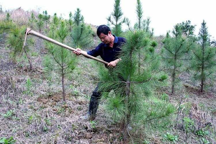 31省份多点散发，新田县7例为何成防控焦点？