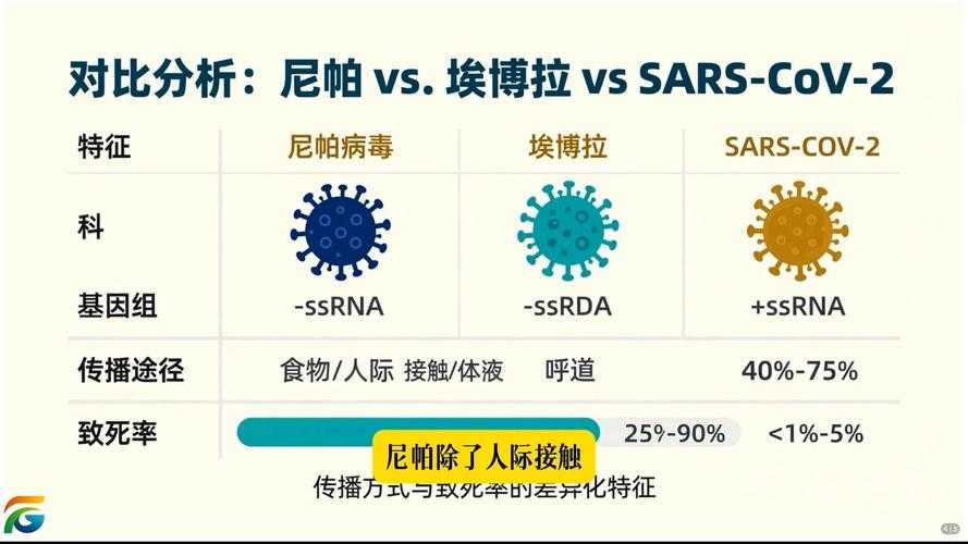 2020-2022年新冠疫情期间：春节期间返乡变异株无症状转确诊现象解析