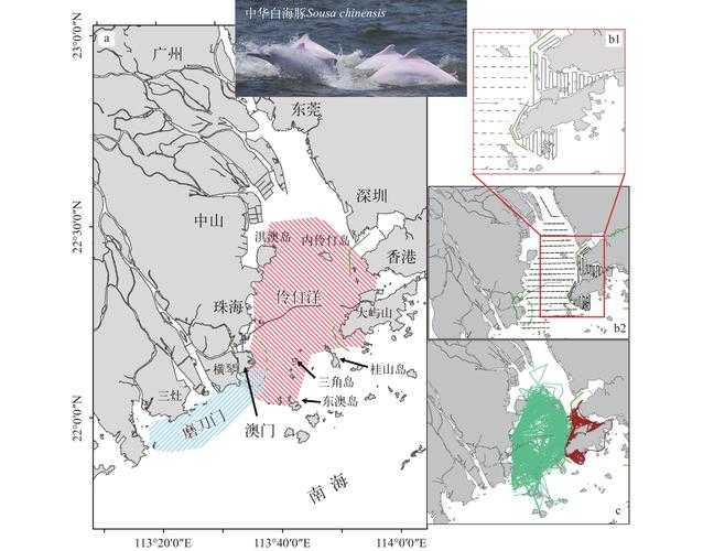白碱滩区疫情曲线解析：从石油城到防控网，地理阻隔下的疫情传播链