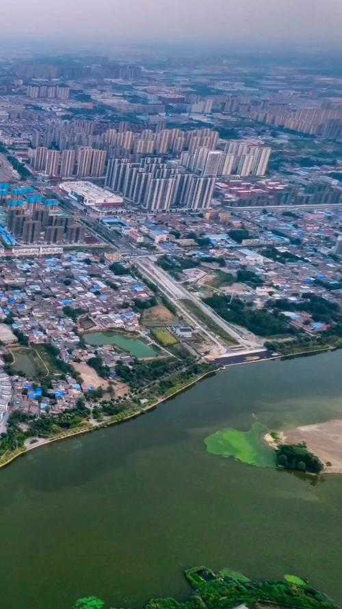 31省份多点散发，安徽谯城区为何成为防控新焦点？