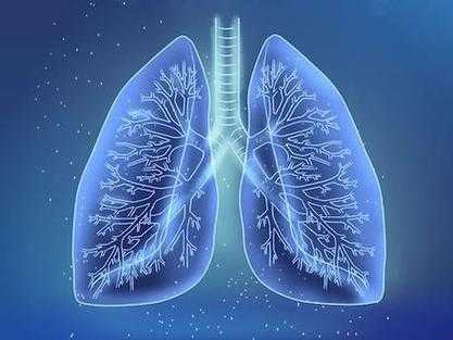 内蒙古奥密克戎亚型刀片嗓应对方案解析