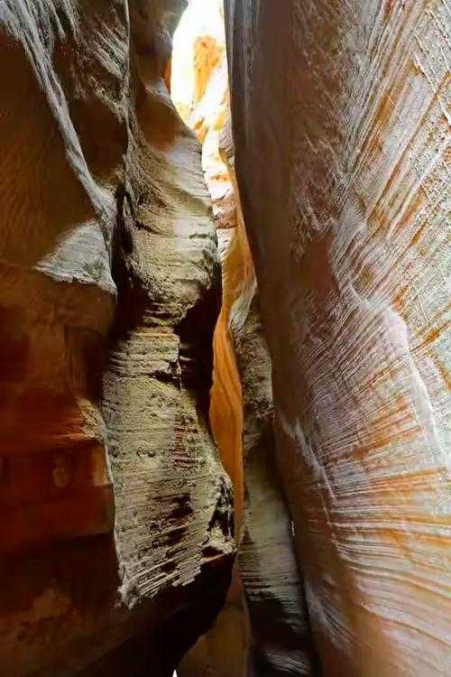 高原防线下的意外破防：宁武县新增8例病例的地理警示