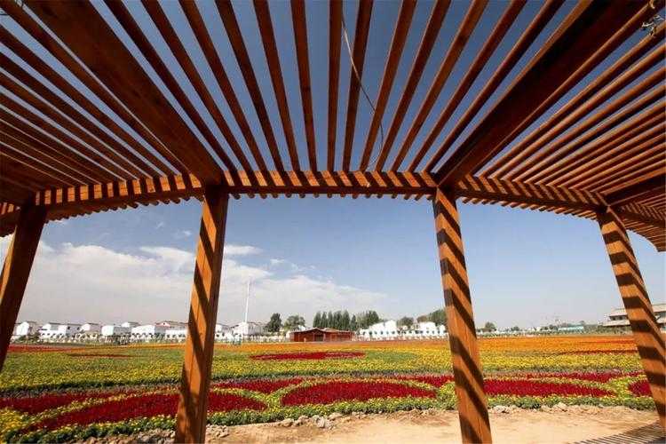 31省份多点散发，隰县新增5例为何引全国关注？