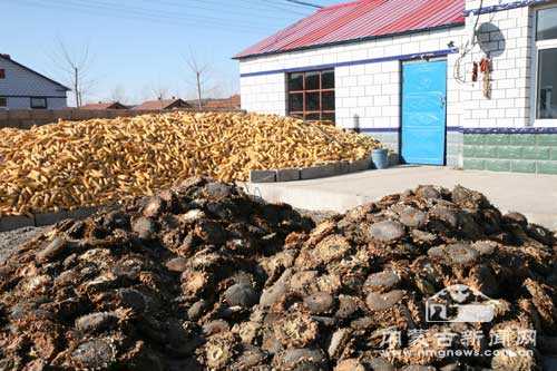 31省份多点散发，扎兰屯市3例为何成北疆防控关键？