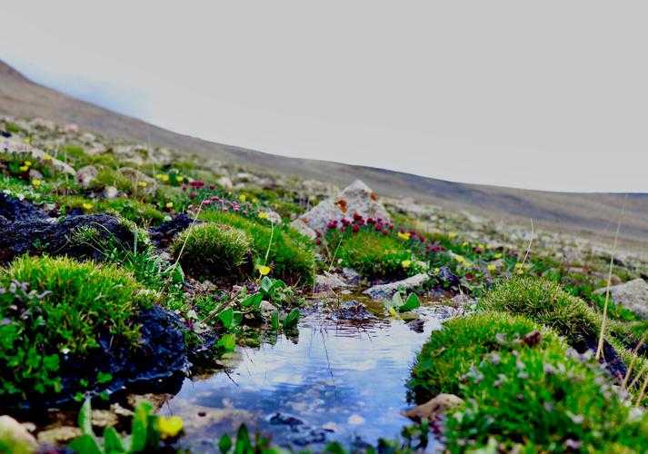 普兰县“零感染”防线背后的地理密码：海拔4500米的免疫奇迹