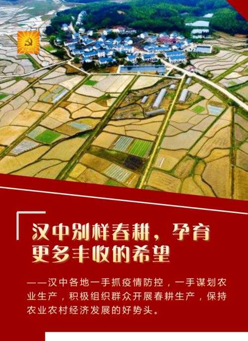 31省份多点散发，汉中4例成防控焦点？