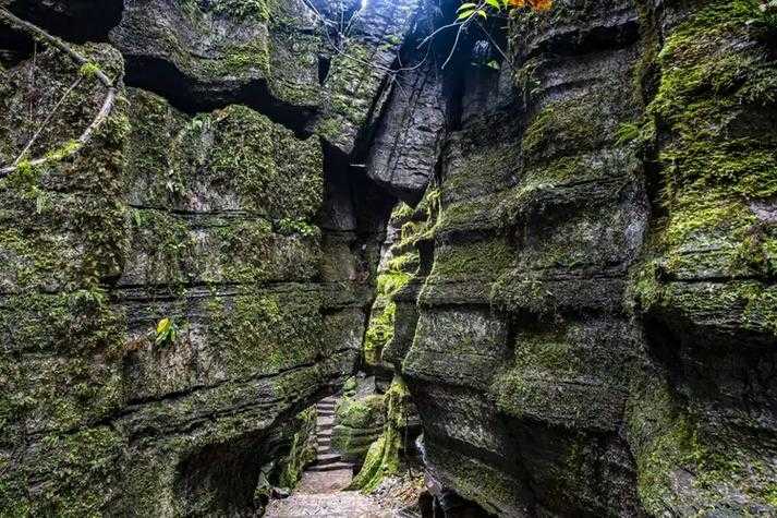 恩施3例确诊暴露防控短板：鄂西山地疫情为何难“绝缘”？