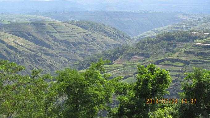 【正宁县疫情突袭背后：黄土高原防控网的脆弱节点】