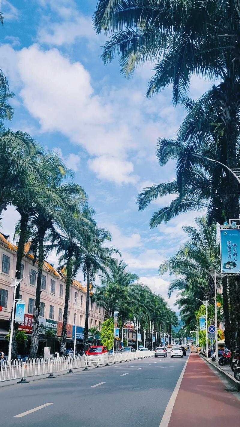 31省份多点散发，云南芒市为何成疫情新焦点？