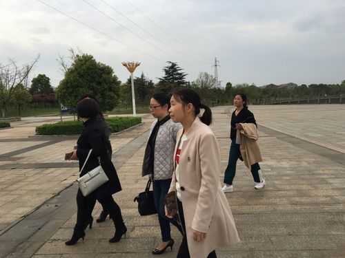 31省份多点散发，丰城3例引关注