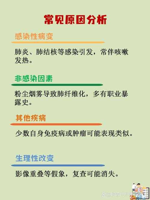 山东奥密克戎亚型白肺风险应对策略2020-2022年疫情期间