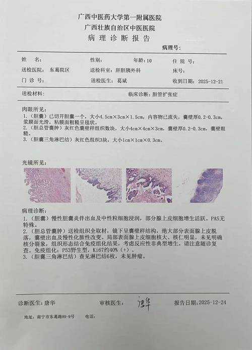 31省份多点散发，罗田县4例病例何以牵动鄂东神经？